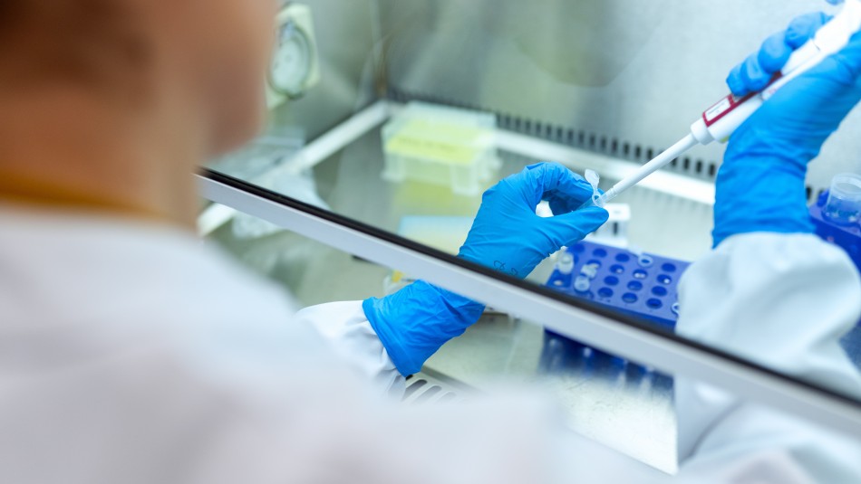 fondo covid investigacion coronavirus Fondo de $2.300 millones: Gobierno lanza concurso para investigación científica sobre Covid-19