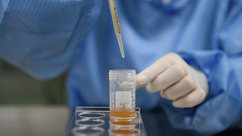 Vacuna China Laboratorio chino pionero en antídoto contra gripe H1N1 produce posible vacuna contra el coronavirus