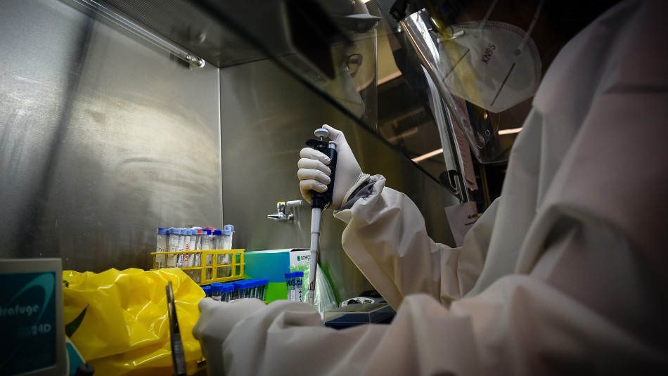 Imagen referencial Balance coronavirus: Se reporta la cifra más alta de contagios en un día y se totalizan 18.435 casos en Chile