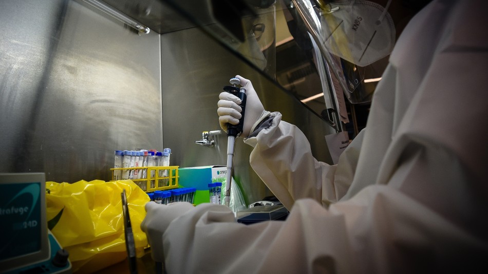 Minsal por exámenes PCR para coronavirus: Minsal por exámenes PCR para coronavirus: