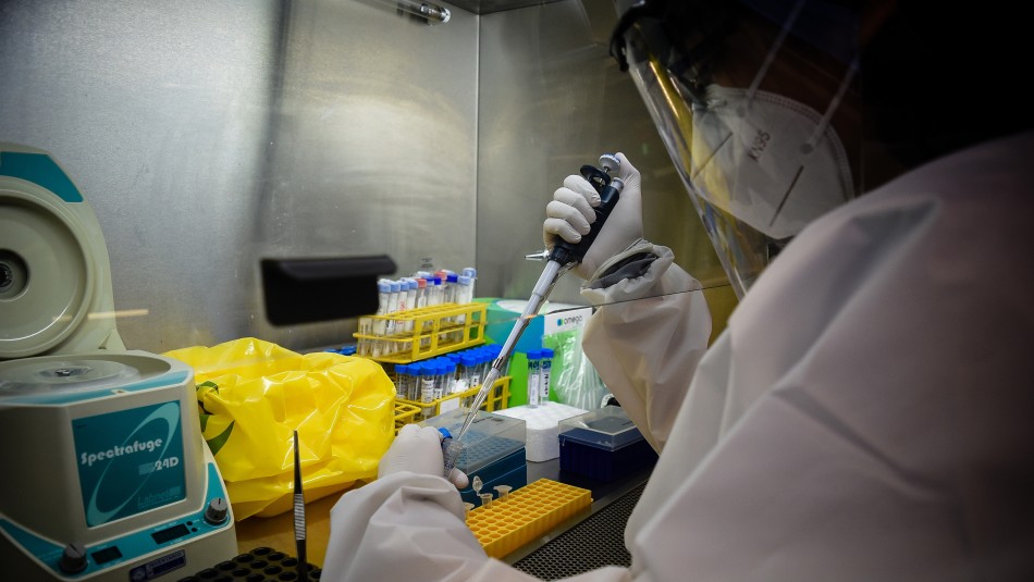 Balance diario por coronavirus en Chile Con 26 muertos Chile vuelve a superar cifra de fallecidos diarios por coronavirus