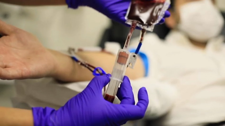 Tratamiento de Plasma Convaleciente: Primer chileno recuperado con plasma de pacientes que ya superaron el virus Tratamiento de Plasma Convaleciente: Primer chileno recuperado con plasma de pacientes que ya superaron el virus