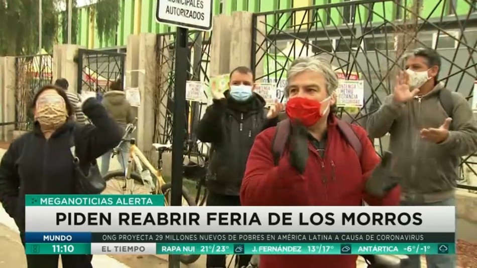 persa los morros el bosque