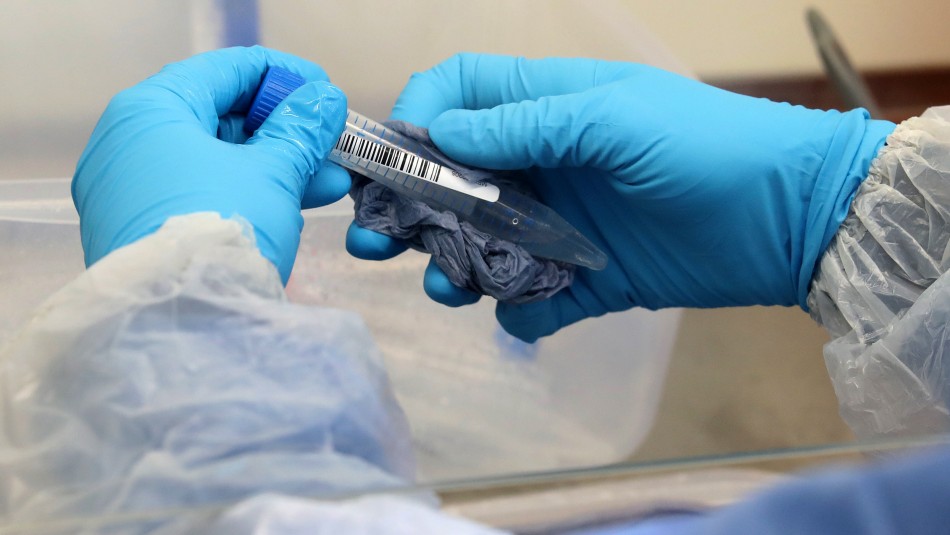 Minsal entrega balance diario por coronavirus Nuevo balance del Minsal: Se reporta la cifra más alta de fallecidos en un solo día por coronavirus