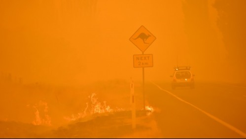 Científicos australianos advierten que el cambio climático ha aumentado mortalidad debido al calor