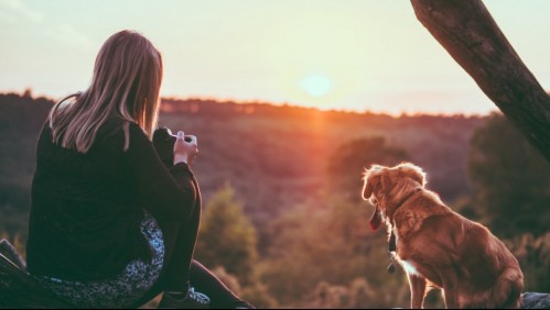 Las tres razones que explican la fidelidad de los perros