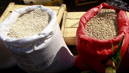 Gobierno por alza en el valor de las legumbres: 'La tendencia del precio va hacia la estabilización'