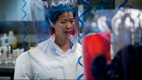 Lo más visto: Viróloga china que alertó sobre el coronavirus hace nueva advertencia