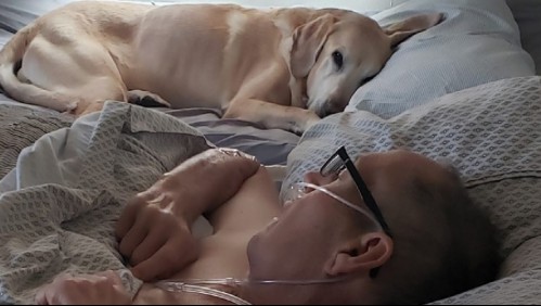 Bombero con cáncer y su fiel perro fallecen con solo una hora de diferencia