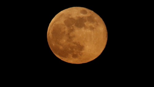 Eclipse Lunar penumbral del 5 de junio: ¿A qué hora se verá el fenómeno en Chile?
