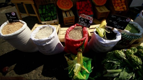 'Va a seguir al alza': Desde Lo Valledor anticipan que precio de las legumbres continuará subiendo