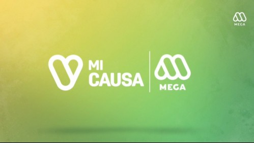 Mi Causa, Mi Mega: Campaña 'Chile Comparte' tiene nuevas modalidades de entrega de canastas de alimentos