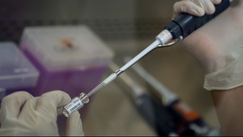 Habría problemas logísticos: Industria farmaceútica cree posible lograr vacuna contra el coronavirus este 2020