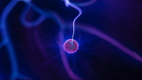 Hallan anticuerpo capaz de detectar partículas tóxicas en el cerebro