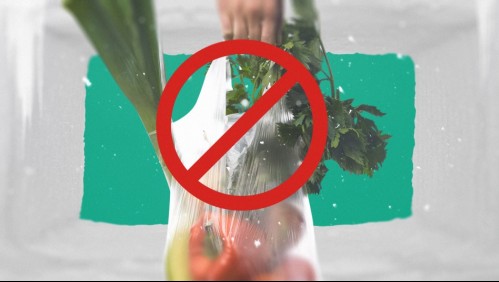 ¿Qué alimentos puedes congelar y cuáles no?: Consejos para mantener tus comidas frescas