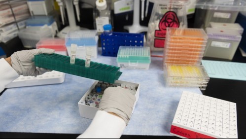 Farmacéutica inicia segunda etapa de ensayos de vacuna contra el coronavirus en humanos