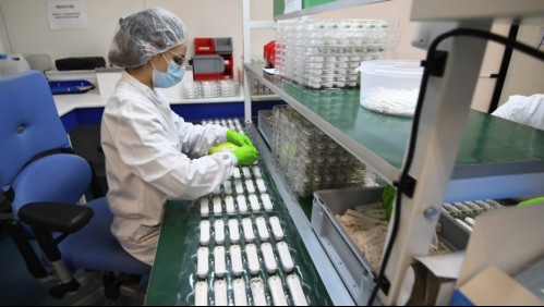 OMS advierte que alza del uso de antibióticos por la pandemia causará más muertes