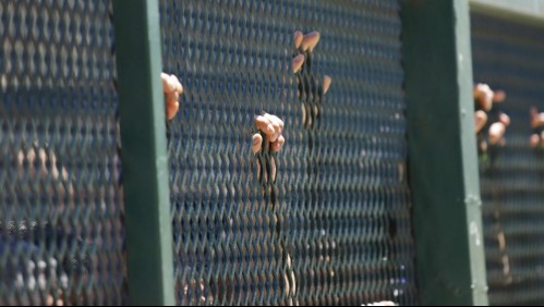 Fallece primer reo por coronavirus: Hay otras 3 muertes en las que se desconoce la causa exacta