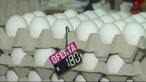 Precio del huevo ha sufrido un alza superior al 60% durante la cuarentena por coronavirus
