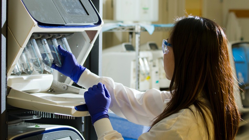 hidroxicloroquina estudio coronavirus Estudio: Medicamento promovido por Trump es ineficaz para prevenir el coronavirus