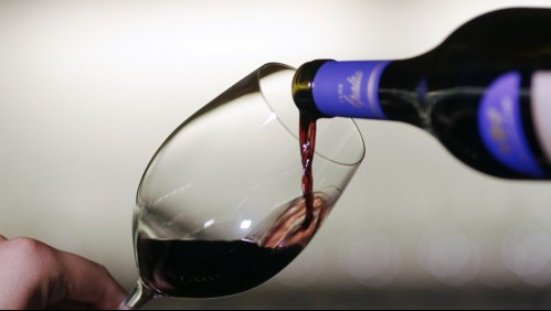 Estudio Imagen Chile: El vino y la fruta son los productos nacionales más reconocidos en el mundo