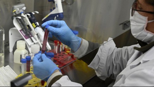 Estudian placenta tras nacimiento de bebé contagiado con coronavirus en Argentina