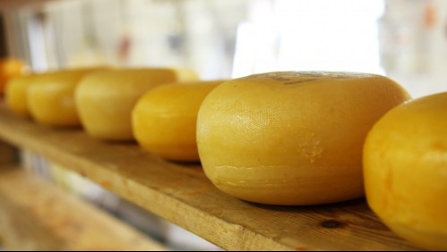 Conoce los cinco tipos de queso más saludables para comer en cuarentena