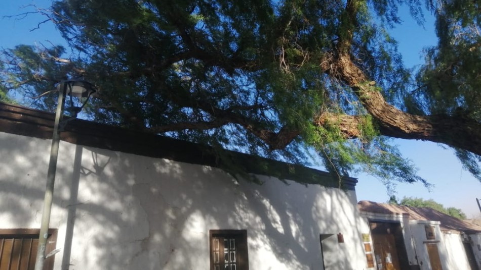 viento norte chile Un muerto y cortes de luz deja fuerte viento en el norte
