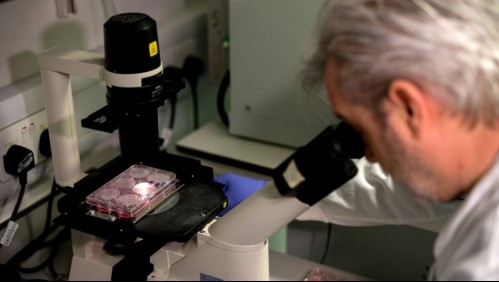 Ensayos en humanos de vacuna contra el coronavirus comenzarán el 15 de junio en Reino Unido