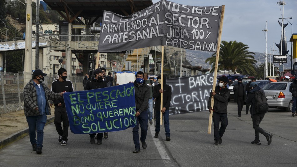 Ley de la Jibia Protestas de pescadores por Ley de la Jibia.