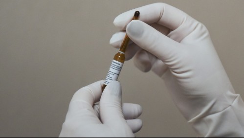 Vacunas contra el coronavirus: ¿Qué significa cada fase?