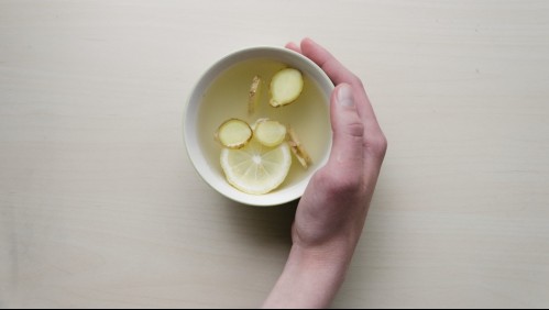 Las plantas que contribuyen a fortalecer tu sistema inmune ante afecciones respiratorias