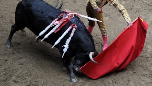 Aprueban proyecto que prohíbe el maltrato y muerte de toros en corridas de Bogotá