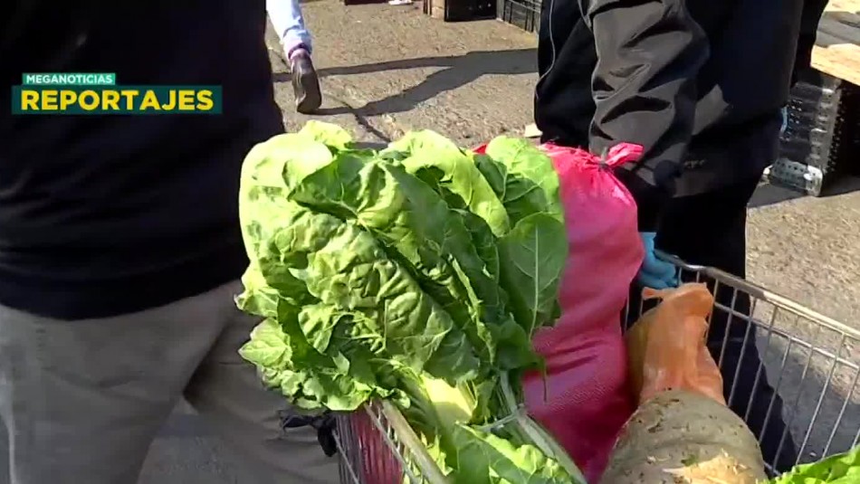 Solidarios: La cruzada por los alimentos Solidarios: La cruzada por los alimentos