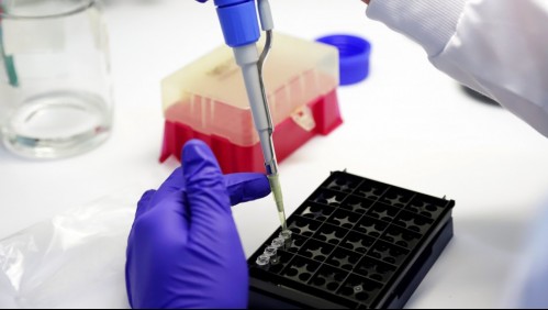 Estudio detalla 'efectos graves' por retraso en confirmación de contagios por coronavirus