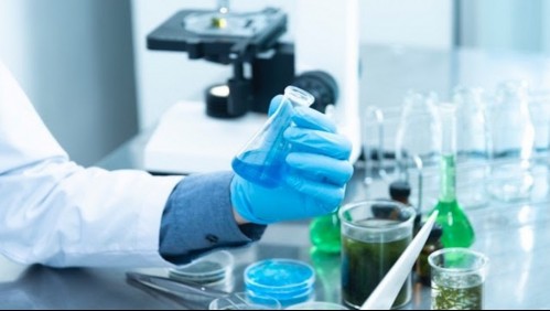 Coronavirus: nuevo estudio asegura haber encontrado 'el talón de Aquiles' de la enfermedad