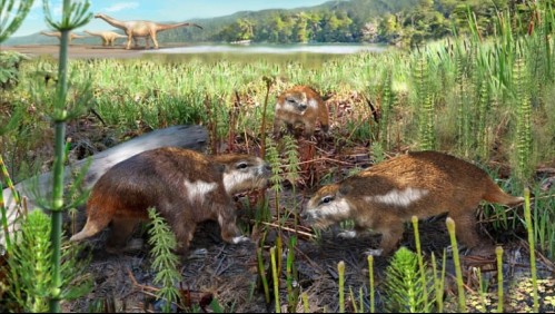 Descubren fósil de antiguo mamífero en las Torres del Paine que convivió con los dinosaurios
