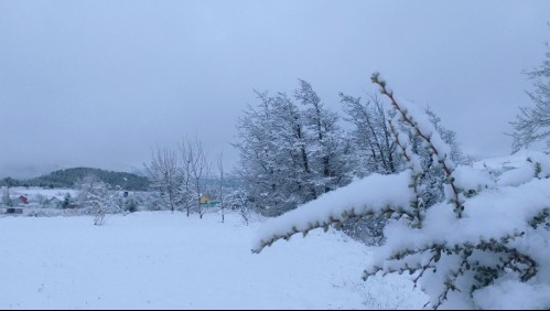 Primera nevazón del año en Coyhaique cubrió de blanco la ciudad