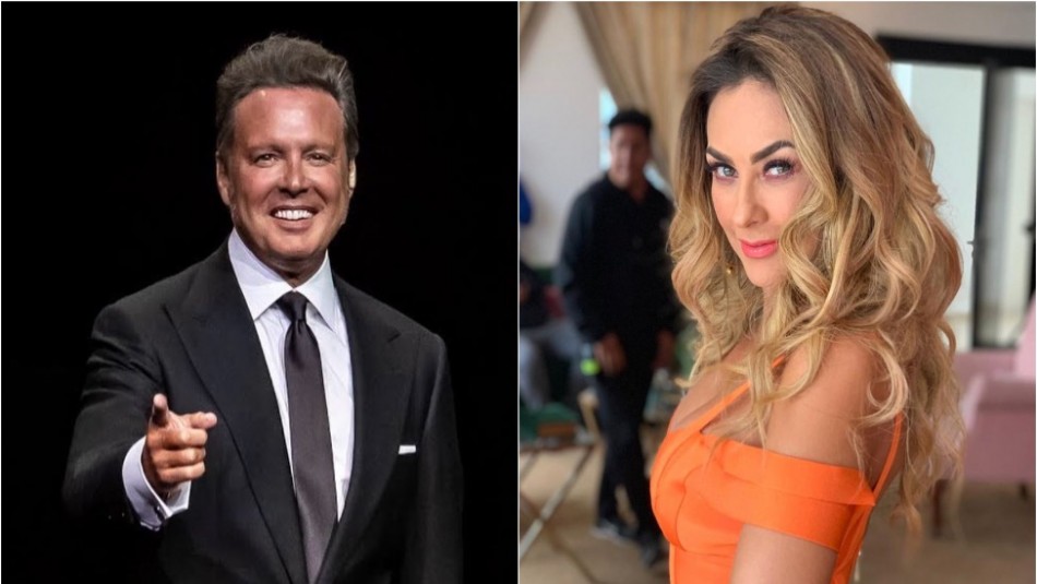 Así lucía Aracely Arámbula cuando se casó con Luis Miguel Así lucía Aracely Arámbula cuando se casó con Luis Miguel