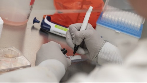 Vacuna contra el coronavirus: Cuándo estarán listos los primeros 'lotes de emergencia'