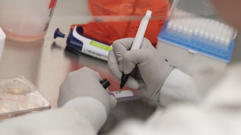 Vacuna contra el coronavirus: Cuándo estarán listos los primeros Vacuna contra el coronavirus: Cuándo estarán listos los primeros