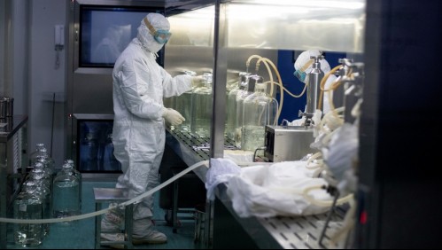 La OMS detiene pruebas de hidroxicloroquina en pacientes con coronavirus