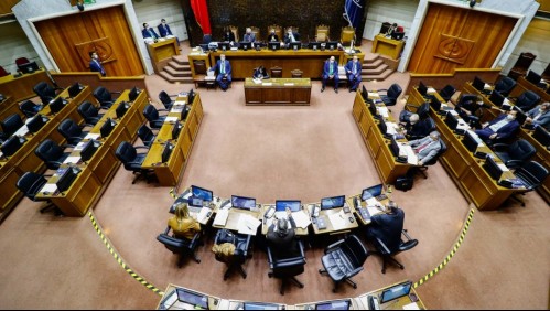 Senado declara inadmisible el proyecto de postnatal de emergencia