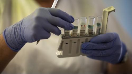 Científicos argentinos desarrollan suero terapéutico para tratar pacientes con coronavirus