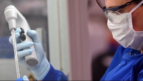 Reclutan voluntarios sanos para probar vacuna contra el coronavirus en Australia