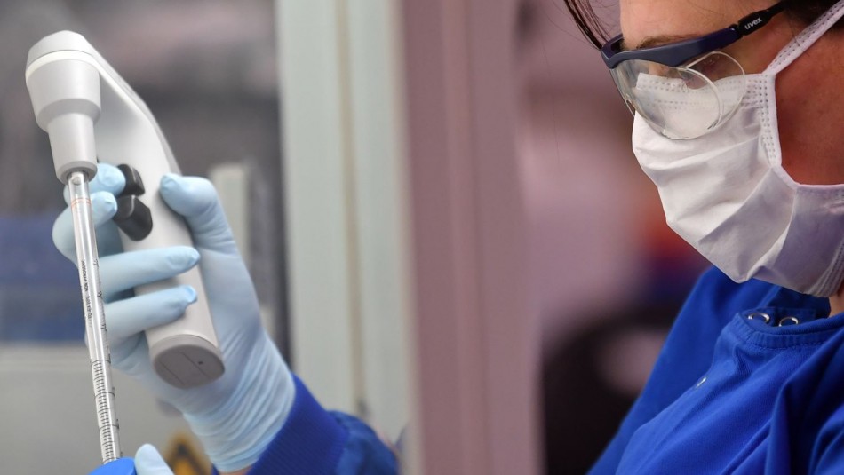 Reclutan voluntarios sanos para probar vacuna contra el coronavirus en Australia Reclutan voluntarios sanos para probar vacuna contra el coronavirus en Australia