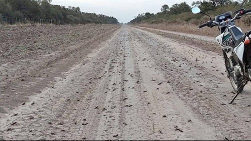 Alerta en Argentina por plaga de 40 millones de langostas: Comen lo mismo que 350 mil personas por día