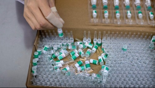 Vacuna china CoronaVac estaría lista para último trimestre de 2020