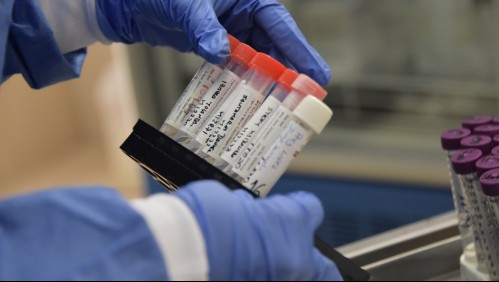 Farmacéutica acelera la producción de molécula eficaz contra el coronavirus