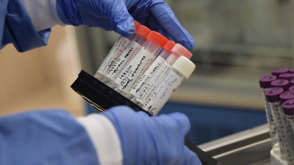 dexametasona coronavirus Farmacéutica acelera la producción de molécula eficaz contra el coronavirus